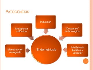 PATOGÉNESIS
EndometriosisMenstruación
retrógrada
Metaplasia
celómica
Inducción
“Descanso”
embriológico
Metástasis
linfática y
vascular
 