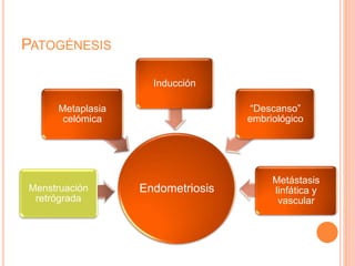 PATOGÉNESIS
EndometriosisMenstruación
retrógrada
Metaplasia
celómica
Inducción
“Descanso”
embriológico
Metástasis
linfática y
vascular
 