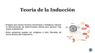  Propone que ciertos factores hormonales o biológicos inducen
la diferenciación de determinadas células para generar más
tejido endometrial.
 Estas sustancias pueden ser exógenas o bien liberadas de
forma directa del endometrio.
 