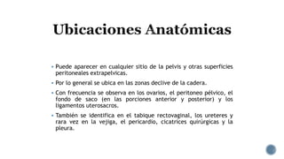  Puede aparecer en cualquier sitio de la pelvis y otras superficies
peritoneales extrapelvicas.
 Por lo general se ubica en las zonas declive de la cadera.
 Con frecuencia se observa en los ovarios, el peritoneo pélvico, el
fondo de saco (en las porciones anterior y posterior) y los
ligamentos uterosacros.
 También se identifica en el tabique rectovaginal, los ureteres y
rara vez en la vejiga, el pericardio, cicatrices quirúrgicas y la
pleura.
 