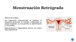 Teoría más antigua.
 Los fragmentos endometriales se adhieren al
mesotelio peritoneal, lo invaden y desarrollan su
propia irrigación, lo cual permite su sobrevivencia
y crecimiento.
 Hiperperistalsis y disperistalsis uterina, con mayor
flujo endometrial
 