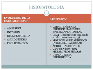 EVOLUCIÓN DE LA
ENDOMETRIOSIS
ADHESIÓN
 ADHESIÓN
 INVASIÓN
 RECLUTAMIENTO
 ANGIOGÉNESIS
 PROLIFERACIÓN
 CARACTERÍSTICAS
ESTRUCTURALES DEL
EPITELIO PERITONEAL
 CD44 (Glicoproteína localizada
en el cromosoma 11p13)
 MOLÉCULAS DE ADHESIÓN
INTERCELULAR (ICAM)
 ÁCIDO HIALURÓNICO
 VASCULARIZACIÓN
METALOPROTEINASAS
 DEPENDENCIA
ESTROGÉNICA
FISIOPATOLOGÍA
 