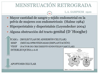 MENSTRUACIÓN RETROGRADA
L.A. SAMPSOM 1920
 Mayor cantidad de sangre y tejido endometrial en la
pelvis de mujeres con endometriosis (Halme 1984)
 Hiperperistalsis y disperistalsis (Leyendecker 2004)
 Alguna obstrucción del tracto genital (D´Hooghe)
1997)
FR
 
