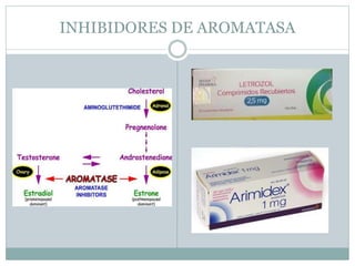 INHIBIDORES DE AROMATASA
 