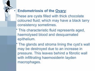 • Endometriosis of the Ovary:
These are cysts filled with thick chocolate
coloured fluid; which may have a black tarry
consistency sometimes.
* This characteristic fluid represents aged,
haemolysed blood and desquamated
epithelium.
* The glands and stroma lining the cyst’s wall
may be destroyed due to an increase in
pressure. This leaves behind a fibrotic wall
with infiltrating haemosiderin layden
macrophages.
 