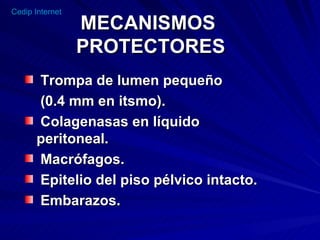 MECANISMOS  PROTECTORES Trompa de lumen pequeño   (0.4 mm en itsmo). Colagenasas en líquido  peritoneal.  Macrófagos. Epitelio del piso pélvico intacto. Embarazos. 