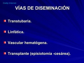 VÍAS DE DISEMINACIÓN Transtubaria. Linfática. Vascular hematógena. Transplante (episiotomía -cesárea). 