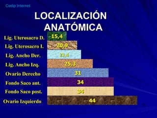LOCALIZACIÓN   ANATÓMICA 44 34 34 31 25,3 21,4 20,9 15,4 Ovario Izquierdo Fondo Saco post. Fondo Saco ant. Ovario Derecho Lig. Ancho Izq. Lig. Ancho Der. Lig. Uterosacro I. Lig. Uterosacro D. % 