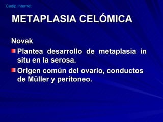 METAPLASIA CELÓMICA Novak Plantea  desarrollo  de  metaplasia  in  situ en la serosa.  Origen común del ovario, conductos de Müller y peritoneo. 