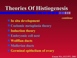 Theories Of Histiogenesis <ul><li>In situ development </li></ul><ul><li>Coelomic metaplasia theory </li></ul><ul><li>Induc...