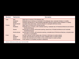 Descriptions of Least Function Terms
 