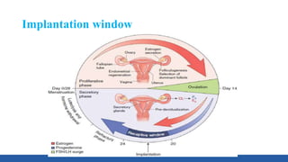 Implantation window
 