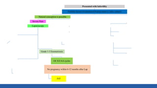 Presented with Infertility
Fertility factors Evaluation (Ovarian reserve, tube, semen)
Natural conception is possible
Severe Pain
Laparoscopy
Grade 4
Endometriosis
IVF
Grade 1-3 Enometriosis
OI/ IUI 4-6 cycles
No pregnancy within 6-12 months after Lap
IVF
Prev Surgery
High Age
Large cyst
Offer egg/ embryo
freezing (IVF)) before Lap
No Pain
Ovulation Induction (OI) 4-6 cycles
IUI 3-6 cycles
IVF
Needs IVF
(Male Factor, tubal factor, poor ovarian reserve)
IVF
Egg collection
Freeze all
GnRH Agonists- 3-6
Frozen embryo transfer
Laparoscopy for pain/
large cysts
Laparoscopy ONLY for pain/
inaccessible ovaries
 