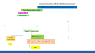 Presented with Infertility
Fertility factors Evaluation (Ovarian reserve, tube, semen)
Natural conception is possible
Severe Pain
Laparoscopy
Grade 4
Endometriosis
IVF
Grade 1-3 Enometriosis
OI/ IUI 4-6 cycles
No pregnancy within 6-12 months after Lap
IVF
Prev Surgery
High Age
Large cyst
Offer egg/ embryo
freezing (IVF)) before Lap
No Pain
Ovulation Induction (OI) 4-6 cycles
IUI 3-6 cycles
IVF
Needs IVF
(Male Factor, tubal factor, poor ovarian reserve)
IVF
Egg collection
Freeze all
GnRH Agonists- 3-6
Frozen embryo transfer
Laparoscopy for pain/
large cysts
Laparoscopy ONLY for pain/
inaccessible ovaries
 