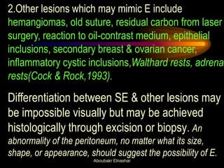 Walthard Rests Man Subtle Endometriosis | PDF