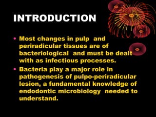 INTRODUCTION 
• Most changes in pulp and 
periradicular tissues are of 
bacteriological and must be dealt 
with as infectious processes. 
• Bacteria play a major role in 
pathogenesis of pulpo-periradicular 
lesion, a fundamental knowledge of 
endodontic microbiology needed to 
understand. 
 