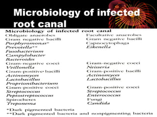 Microbiology of infected 
root canal 
 