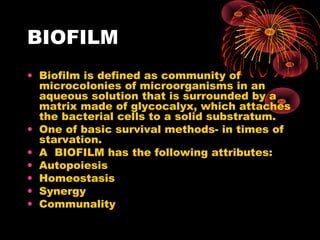 BIOFILM 
• Biofilm is defined as community of 
microcolonies of microorganisms in an 
aqueous solution that is surrounded by a 
matrix made of glycocalyx, which attaches 
the bacterial cells to a solid substratum. 
• One of basic survival methods- in times of 
starvation. 
• A BIOFILM has the following attributes: 
• Autopoiesis 
• Homeostasis 
• Synergy 
• Communality 
 