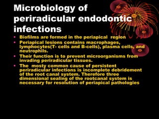 Microbiology of 
periradicular endodontic 
infections 
• Biofilms are formed in the periapical region 
• Periapical lesions contains macrophages, 
lymphocytes(T- cells and B-cells), plasma cells, and 
neutrophils. 
• Their function is to prevent microorganisms from 
invading periradicular tissues. 
• The mosty common cause of persistent 
periradicular infections is incomplete debridement 
of the root canal system. Therefore three 
dimensional sealing of the rootcanal system is 
necessary for resolution of periapical pathologies 
 