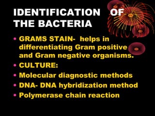 IDENTIFICATION OF 
THE BACTERIA 
• GRAMS STAIN- helps in 
differentiating Gram positive 
and Gram negative organisms. 
• CULTURE: 
• Molecular diagnostic methods 
• DNA- DNA hybridization method 
• Polymerase chain reaction 
 