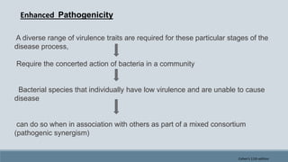 A diverse range of virulence traits are required for these particular stages of the
disease process,
Require the concerted action of bacteria in a community
Bacterial species that individually have low virulence and are unable to cause
disease
can do so when in association with others as part of a mixed consortium
(pathogenic synergism)
Enhanced Pathogenicity
Cohen's 11th edition
 