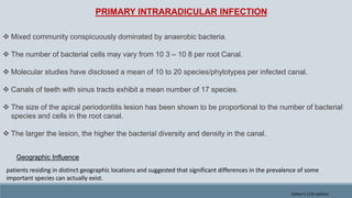 PRIMARY INTRARADICULAR INFECTION
 Mixed community conspicuously dominated by anaerobic bacteria.
 The number of bacterial cells may vary from 10 3 – 10 8 per root Canal.
 Molecular studies have disclosed a mean of 10 to 20 species/phylotypes per infected canal.
 Canals of teeth with sinus tracts exhibit a mean number of 17 species.
 The size of the apical periodontitis lesion has been shown to be proportional to the number of bacterial
species and cells in the root canal.
 The larger the lesion, the higher the bacterial diversity and density in the canal.
Geographic Influence
patients residing in distinct geographic locations and suggested that significant differences in the prevalence of some
important species can actually exist.
Cohen's 11th edition
 