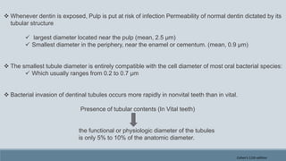  Whenever dentin is exposed, Pulp is put at risk of infection Permeability of normal dentin dictated by its
tubular structure
 largest diameter located near the pulp (mean, 2.5 μm)
 Smallest diameter in the periphery, near the enamel or cementum. (mean, 0.9 μm)
 The smallest tubule diameter is entirely compatible with the cell diameter of most oral bacterial species:
 Which usually ranges from 0.2 to 0.7 μm
 Bacterial invasion of dentinal tubules occurs more rapidly in nonvital teeth than in vital.
Presence of tubular contents (In Vital teeth)
the functional or physiologic diameter of the tubules
is only 5% to 10% of the anatomic diameter.
Cohen's 11th edition
 
