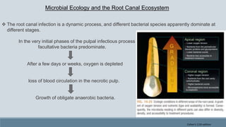  The root canal infection is a dynamic process, and different bacterial species apparently dominate at
different stages.
In the very initial phases of the pulpal infectious process
facultative bacteria predominate.
After a few days or weeks, oxygen is depleted
loss of blood circulation in the necrotic pulp.
Growth of obligate anaerobic bacteria.
Microbial Ecology and the Root Canal Ecosystem
Cohen's 11th edition
 
