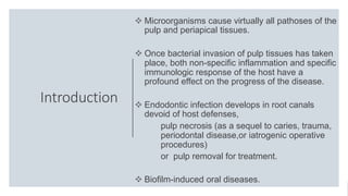 Introduction
 Microorganisms cause virtually all pathoses of the
pulp and periapical tissues.
 Once bacterial invasion of pulp tissues has taken
place, both non-specific inflammation and specific
immunologic response of the host have a
profound effect on the progress of the disease.
 Endodontic infection develops in root canals
devoid of host defenses,
pulp necrosis (as a sequel to caries, trauma,
periodontal disease,or iatrogenic operative
procedures)
or pulp removal for treatment.
 Biofilm-induced oral diseases.
 