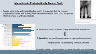 Microbiota in Endodontically Treated Teeth
 Several culture and molecular biology studies have revealed that
E. faecalis is the most frequent species in root canal– treated teeth,
with prevalence values reaching up to 90% of cases
commonly recovered from teeth treated at multiple visits or left open for drainage
 Canals apparently well treated harbor one to five species, but the number
of species in canals with inadequate treatment can reach up to 10 to 20 species,
which is similar to untreated canals.
Cohen's 11th edition
 