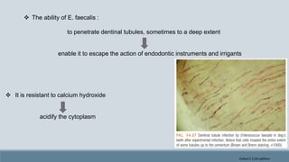  The ability of E. faecalis :
to penetrate dentinal tubules, sometimes to a deep extent
enable it to escape the action of endodontic instruments and irrigants
 It is resistant to calcium hydroxide
acidify the cytoplasm
Cohen's 11th edition
 