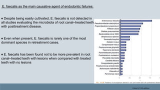 E. faecalis as the main causative agent of endodontic failures:
♦ Despite being easily cultivated, E. faecalis is not detected in
all studies evaluating the microbiota of root canal–treated teeth
with posttreatment disease.
♦ Even when present, E. faecalis is rarely one of the most
dominant species in retreatment cases.
♦ E. faecalis has been found not to be more prevalent in root
canal–treated teeth with lesions when compared with treated
teeth with no lesions
Cohen's 11th edition
 