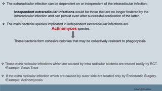  The extraradicular infection can be dependent on or independent of the intraradicular infection;
Independent extraradicular infections would be those that are no longer fostered by the
intraradicular infection and can persist even after successful eradication of the latter.
 The main bacterial species implicated in independent extraradicular infections are
Actinomyces species.
These bacteria form cohesive colonies that may be collectively resistant to phagocytosis
 Those extra radicular infections which are caused by intra radicular bacteria are treated easily by RCT.
▪Example; Sinus Tract
 If the extra radicular infection which are caused by outer side are treated only by Endodontic Surgery.
▪Example; Actinomycosis
Cohen's 11th edition
 