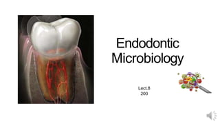 Endodontic
Microbiology
Lect.8
200
 