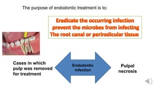 The purpose of endodontic treatment is to:
Endodontic
infection
Pulpal
necrosis
Cases in which
pulp was removed
for treatment
 