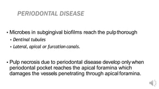 ▪ Microbes in subgingival biofilms reach the pulpthorough
▪ Dentinal tubules
▪ Lateral, apical or furcation canals.
▪ Pulp necrosis due to periodontal disease develop onlywhen
periodontal pocket reaches the apical foramina which
damages the vessels penetrating through apical foramina.
 