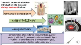 The main causes of microbial
introduction into the canal
during treatment include:
contamination of endodontic instruments (e.g., after
touching with the fingers);and contamination of irrigant
solutions or other solutions of intracanal use (e.g.,
saline solution, distilled water, citric acid).
remnants of dental biofilm,
 