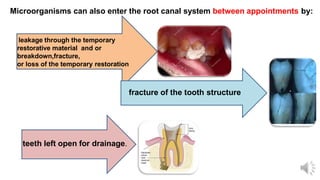 Microorganisms can also enter the root canal system between appointments by:
leakage through the temporary
restorative material and or
breakdown,fracture,
or loss of the temporary restoration
fracture of the tooth structure
teeth left open for drainage.
 