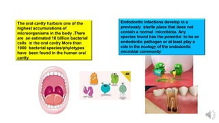Endodontic infections develop in a
previously sterile place that does not
contain a normal microbiota. Any
species found has the potential to be an
endodontic pathogen or at least play a
role in the ecology of the endodontic
microbial community
The oral cavity harbors one of the
highest accumulations of
microorganisms in the body .There
are an estimated 10 billion bacterial
cells in the oral cavity More than
1000 bacterial species/phylotypes
have been found in the human oral
cavity
 