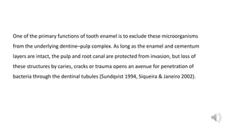 One of the primary functions of tooth enamel is to exclude these microorganisms
from the underlying dentine–pulp complex. As long as the enamel and cementum
layers are intact, the pulp and root canal are protected from invasion, but loss of
these structures by caries, cracks or trauma opens an avenue for penetration of
bacteria through the dentinal tubules (Sundqvist 1994, Siqueira & Janeiro 2002).
 
