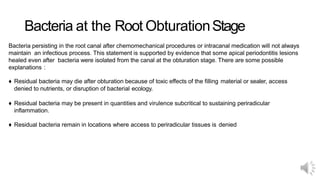 Bacteria at the Root ObturationStage
Bacteria persisting in the root canal after chemomechanical procedures or intracanal medication will not always
maintain an infectious process. This statement is supported by evidence that some apical periodontitis lesions
healed even after bacteria were isolated from the canal at the obturation stage. There are some possible
explanations :
♦ Residual bacteria may die after obturation because of toxic effects of the filling material or sealer, access
denied to nutrients, or disruption of bacterial ecology.
♦ Residual bacteria may be present in quantities and virulence subcritical to sustaining periradicular
inflammation.
♦ Residual bacteria remain in locations where access to periradicular tissues is denied
 