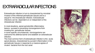 EXTRARADICULARINFECTIONS
Extraradicular infection in turn is characterized by microbial
invasion of the inflamed periradicular tissues and is a
sequel to the intraradicular infection. Extraradicular
infections can be dependent on or independent of the
intraradicular infection
In most situations, apical periodontitis inflammatory
lesions succeed in preventing microorganisms from
invading the periradicular tissues
in some specific circumstances, microorganisms can
overcome this defense barrier and establish an extraradicular
infection.
The most common form of extraradicular infection is the acute
apical abscess, characterized by purulent inflammation in the
periradicular tissues in response to a massive egress of
virulent bacteria from the root canal
 