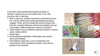 it has been demonstrated that bacterial invasion of
dentinal tubules occurs more rapidly with a non vital
pulp than with a vital pulp
 With a vital pulp, outward movement of dentinal fluid and
the tubular contents (including odontoblast processes,
collagen fibrils, and the sheath like lamina limitans that
lines the tubules) influence dentinal permeability and can
conceivably delay intratubular invasion by bacteria.
 Other factors such as dentinal sclerosis beneath a carious
lesion, tertiary dentin,
 smear layer,
 and intratubular deposition of fibrinogen also reduce
dentin permeability .
 Host defense molecules, such as antibodies and
components of the complement system, may also be
present in the dentinal
 