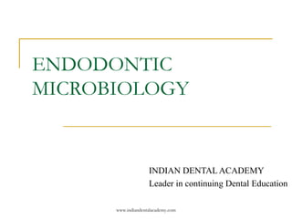 ENDODONTIC
MICROBIOLOGY
INDIAN DENTAL ACADEMY
Leader in continuing Dental Education
www.indiandentalacademy.com
 