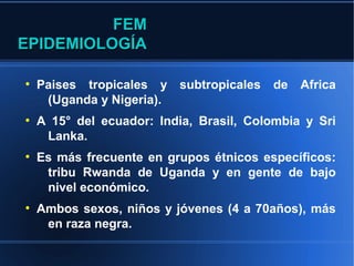 FEM
EPIDEMIOLOGÍA

●
    Paises tropicales y subtropicales    de   Africa
     (Uganda y Nigeria).
●
    A 15° del ecuador: India, Brasil, Colombia y Sri
     Lanka.
●
    Es más frecuente en grupos étnicos específicos:
     tribu Rwanda de Uganda y en gente de bajo
     nivel económico.
●
    Ambos sexos, niños y jóvenes (4 a 70años), más
     en raza negra.
 