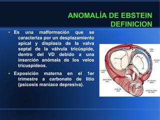 ANOMALÍA DE EBSTEIN
                                   DEFINICION
●   Es una malformación que se
     caracteriza por un desplazamiento
     apical y displasia de la valva
     septal de la válvula tricúspide,
     dentro del VD debido a una
     inserción anómala de los velos
     tricuspideos.
●   Exposición materna en el 1er
     trimestre a carbonato de litio
     (psicosis maniaco depresiva).
 