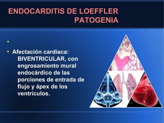 ENDOCARDITIS DE LOEFFLER
              PATOGENIA

●


●
    Afectación cardiaca:
      BIVENTRICULAR, con
      engrosamiento mural           .
      endocárdico de las
      porciones de entrada de
      flujo y ápex de los
                                    .
      ventrículos.
                                .       .
 