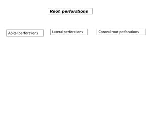 Root perforations

Apical perforations

Lateral perforations

Coronal root perforations

 