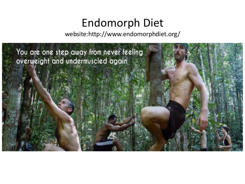 ecto endomorph diet ecto endomorph diet