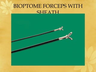 BIOPTOME FORCEPS WITH
SHEATH
 